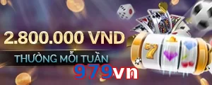 979vn