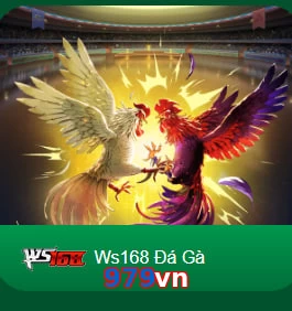 979vn